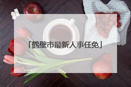 鹤壁市最新人事任免