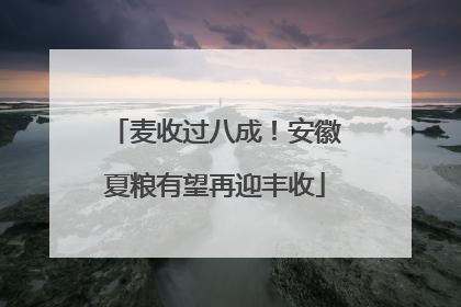 麦收过八成！安徽夏粮有望再迎丰收