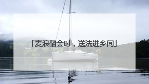麦浪翻金时，送法进乡间