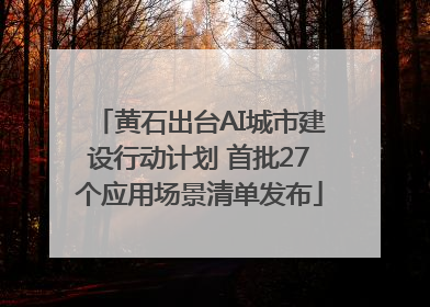 黄石出台AI城市建设行动计划 首批27个应用场景清单发布