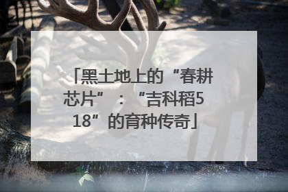 黑土地上的“春耕芯片”：“吉科稻518”的育种传奇