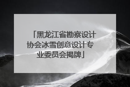 黑龙江省勘察设计协会冰雪创意设计专业委员会揭牌