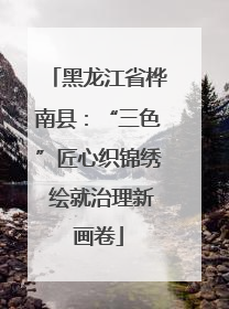 黑龙江省桦南县：“三色”匠心织锦绣 绘就治理新画卷