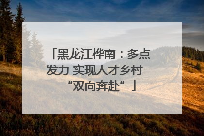 黑龙江桦南：多点发力 实现人才乡村“双向奔赴”