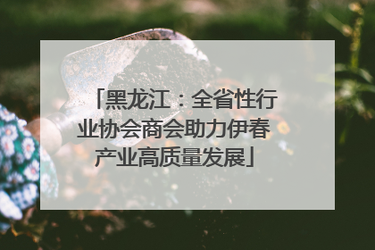 黑龙江：全省性行业协会商会助力伊春产业高质量发展