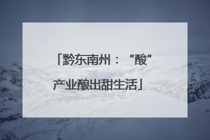 黔东南州：“酸”产业酿出甜生活