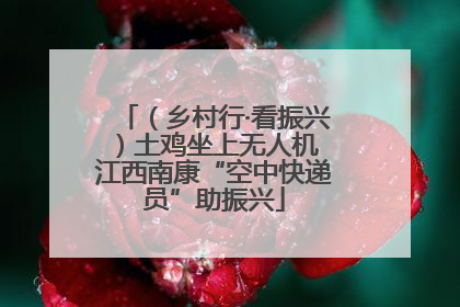（乡村行·看振兴）土鸡坐上无人机 江西南康“空中快递员”助振兴