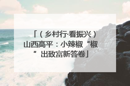 （乡村行·看振兴）山西高平：小辣椒“椒”出致富新答卷