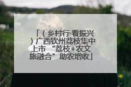 （乡村行·看振兴）广西钦州荔枝集中上市 “荔枝+农文旅融合”助农增收
