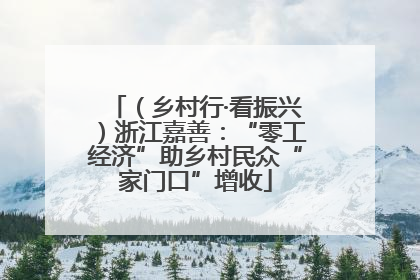 （乡村行·看振兴）浙江嘉善：“零工经济”助乡村民众“家门口”增收