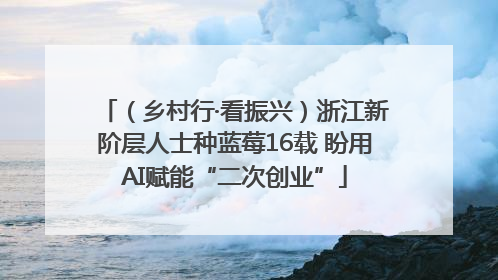 （乡村行·看振兴）浙江新阶层人士种蓝莓16载 盼用AI赋能“二次创业”