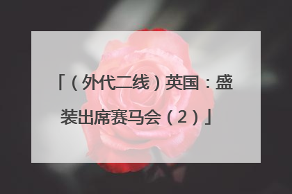 （外代二线）英国：盛装出席赛马会（2）