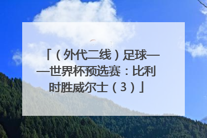 （外代二线）足球——世界杯预选赛：比利时胜威尔士（3）