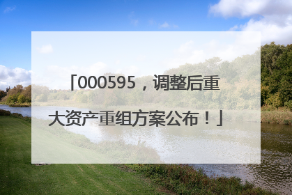 000595，调整后重大资产重组方案公布！