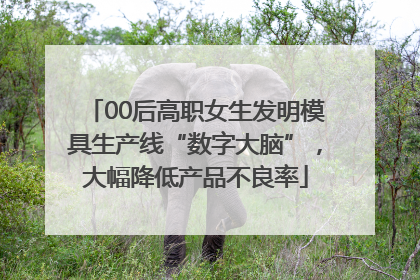 00后高职女生发明模具生产线“数字大脑”，大幅降低产品不良率