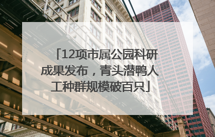 12项市属公园科研成果发布，青头潜鸭人工种群规模破百只