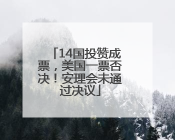 14国投赞成票，美国一票否决！安理会未通过决议