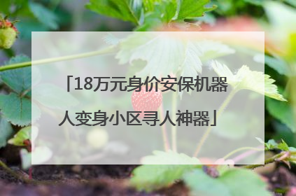 18万元身价安保机器人变身小区寻人神器