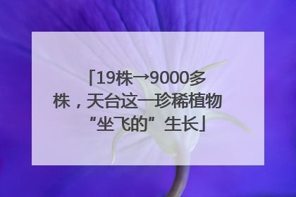 19株→9000多株，天台这一珍稀植物“坐飞的”生长