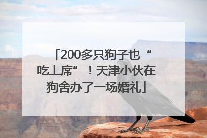 200多只狗子也“吃上席”！天津小伙在狗舍办了一场婚礼