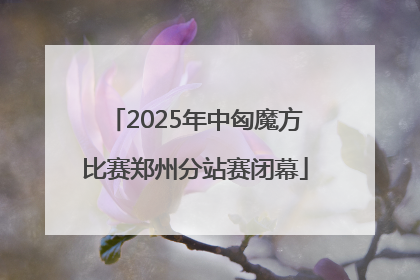 2025年中匈魔方比赛郑州分站赛闭幕