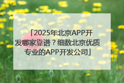 2025年北京APP开发哪家靠谱？细数北京优质专业的APP开发公司
