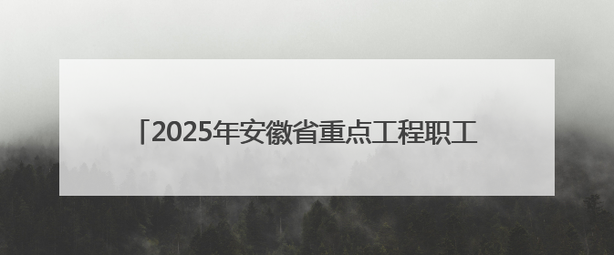 2025年安徽省重点工程职工（农民工）职业技能竞赛开幕