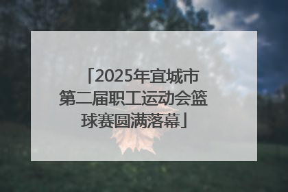 2025年宜城市第二届职工运动会篮球赛圆满落幕
