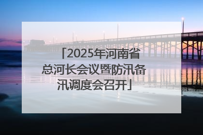 2025年河南省总河长会议暨防汛备汛调度会召开