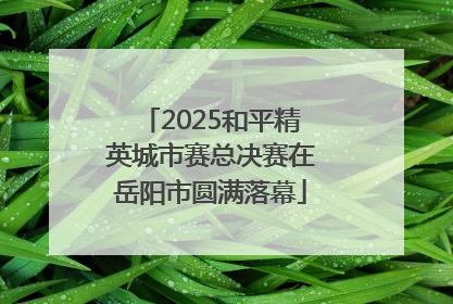 2025和平精英城市赛总决赛在岳阳市圆满落幕