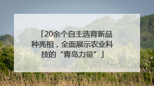 20余个自主选育新品种亮相，全面展示农业科技的“青岛力量”