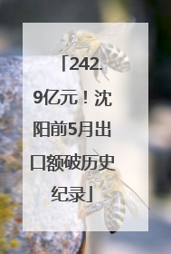 242.9亿元！沈阳前5月出口额破历史纪录