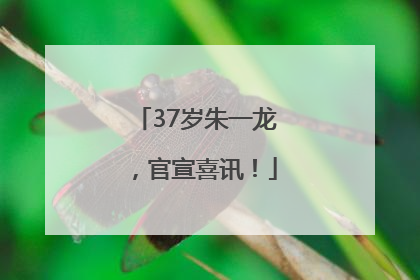 37岁朱一龙，官宣喜讯！