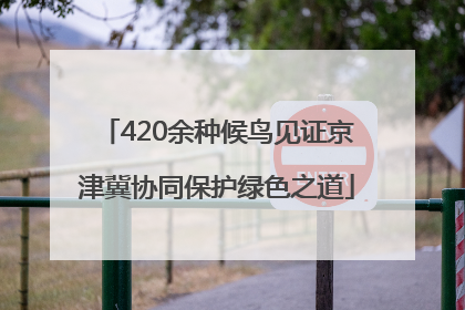 420余种候鸟见证京津冀协同保护绿色之道