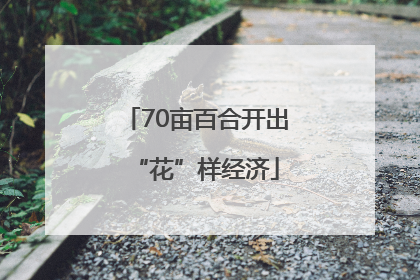 70亩百合开出“花”样经济