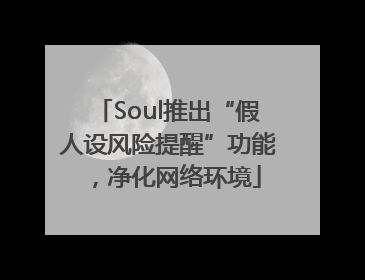 Soul推出“假人设风险提醒”功能，净化网络环境