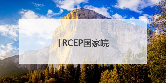 RCEP国家皖籍侨团联盟扩容